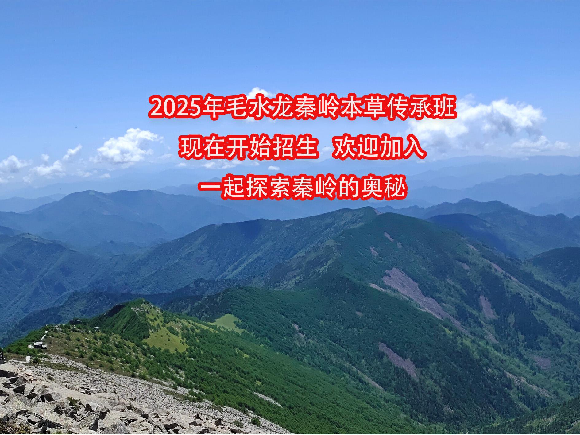 毛水龙秦岭本草传承班2025年第八期报名通知